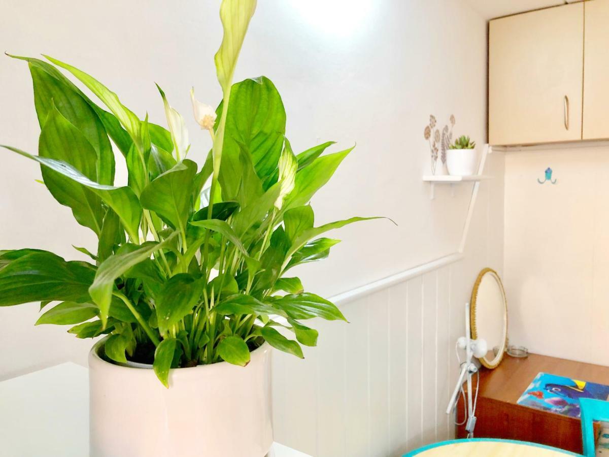 Apartamento Studio & Free Parking, Aircool, Fresh Bedding Lovran Exterior foto